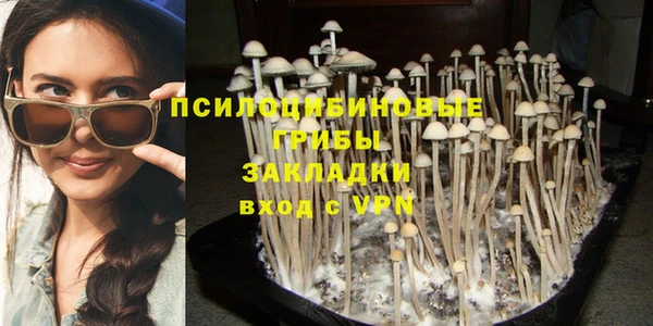 метадон Алексин