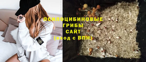 метадон Алексин