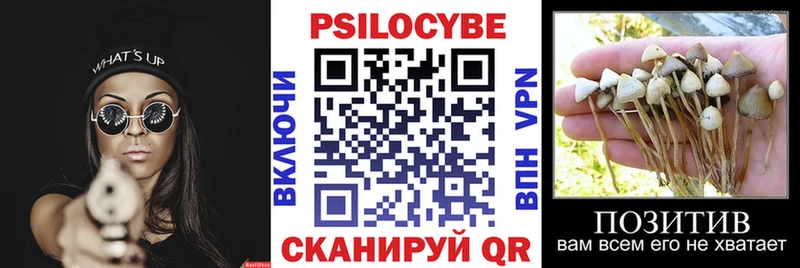 Псилоцибиновые грибы прущие грибы Десногорск